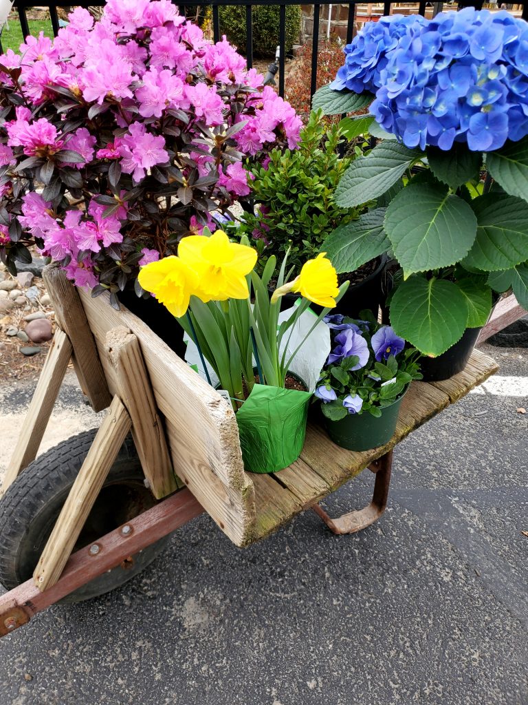 holly-days-sprintime-2021