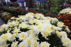 mums at holly days nursery