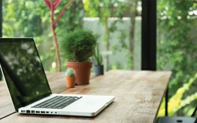 Biophilic Design Movement