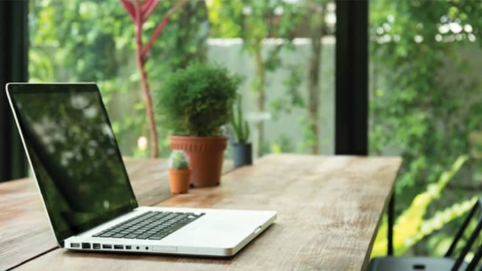 Biophilic Design Movement