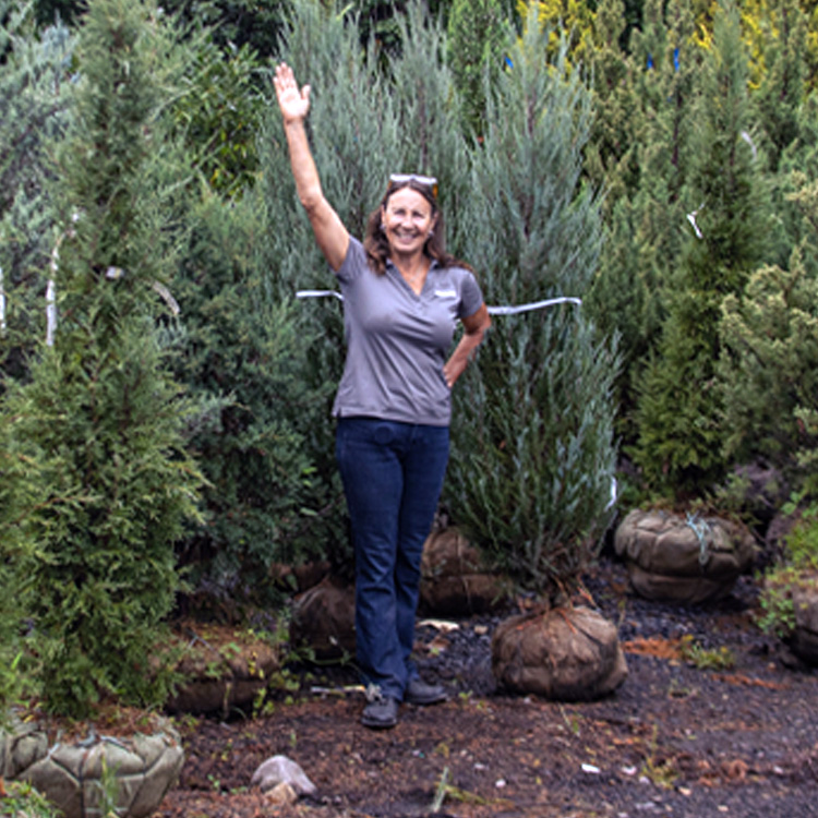 paul-holly-days-nusery-wholesale