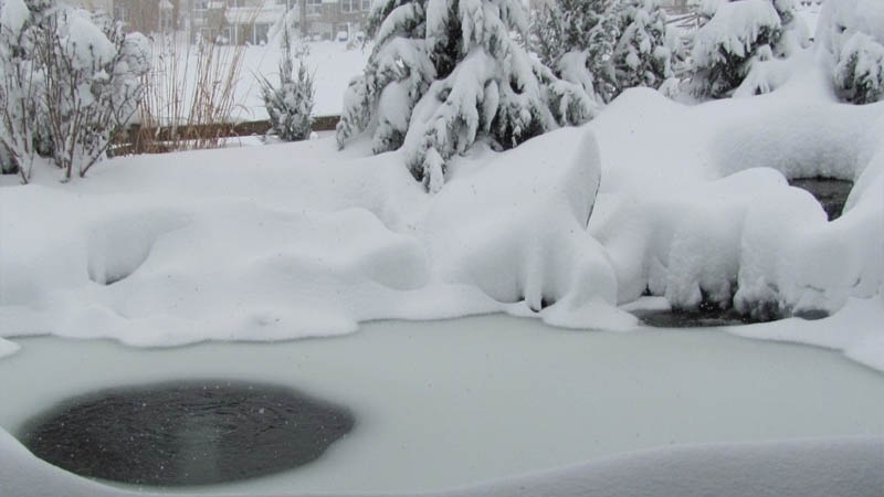 de-icer-pond-aquatics-holly-days-nursery-garden-center-landscaping