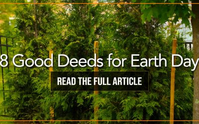 8 Awesome Earth Day Good Deeds