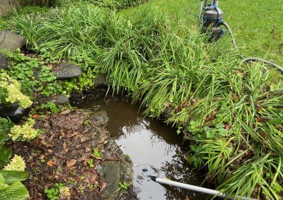 Pond Service & Maintenance—Holly Days Ponds & Aquatics