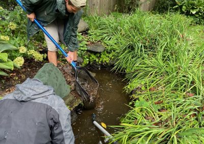Pond Service & Maintenance—Holly Days Ponds & Aquatics