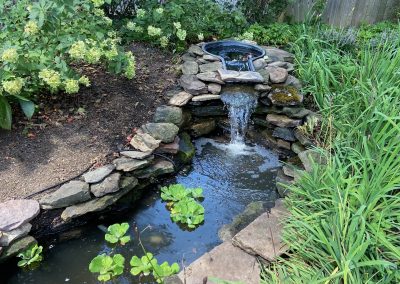 Pond Service & Maintenance—Holly Days Ponds & Aquatics