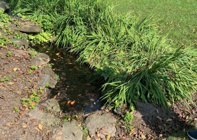 Pond Service & Maintenance—Holly Days Ponds & Aquatics
