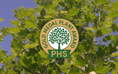 PHS Gold Medal Plants