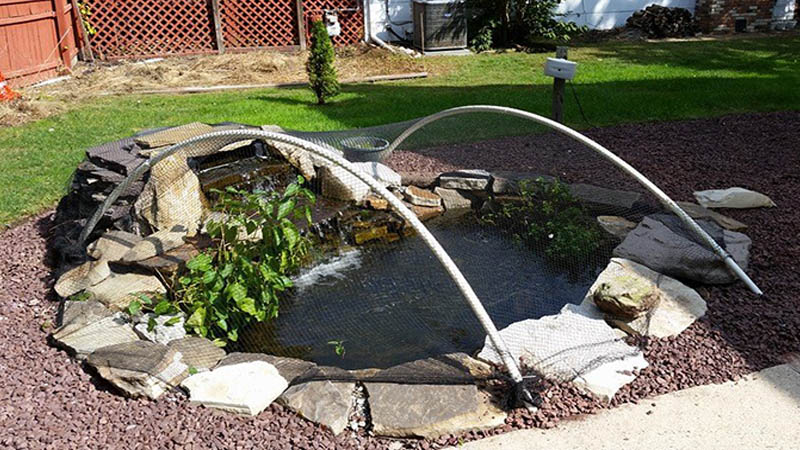 Putting Your Pond To Bed For Winter