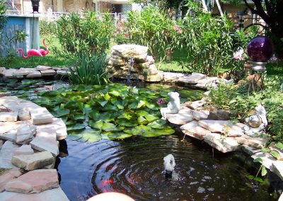 Pond Service & Maintenance—Holly Days Ponds & Aquatics