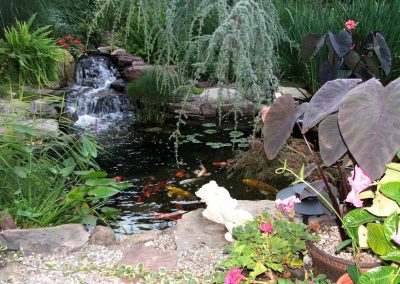 Pond Service & Maintenance—Holly Days Ponds & Aquatics