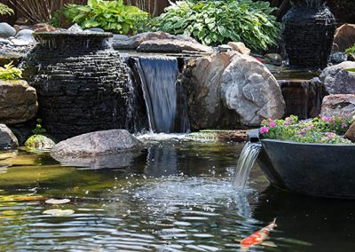 Pond Service & Maintenance—Holly Days Ponds & Aquatics
