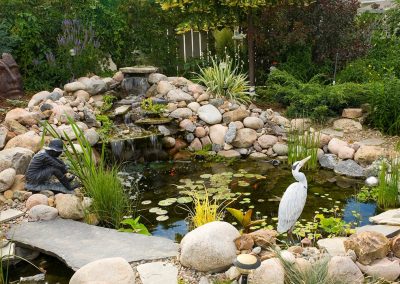 Pond Service & Maintenance—Holly Days Ponds & Aquatics