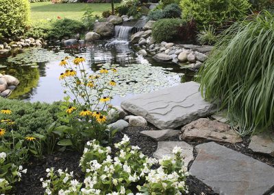 Pond Service & Maintenance—Holly Days Ponds & Aquatics