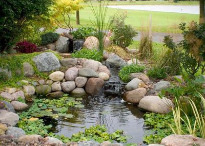 Pond Service & Maintenance—Holly Days Ponds & Aquatics