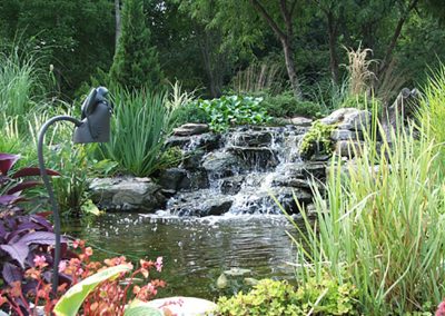 Pond Service & Maintenance—Holly Days Ponds & Aquatics