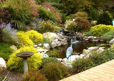 Pond Service & Maintenance—Holly Days Ponds & Aquatics