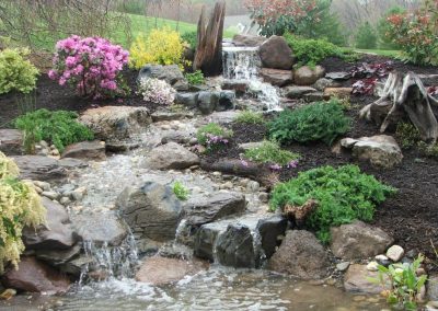 Pond Service & Maintenance—Holly Days Ponds & Aquatics
