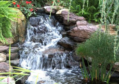 Pond Service & Maintenance—Holly Days Ponds & Aquatics