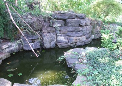 Pond Service & Maintenance—Holly Days Ponds & Aquatics