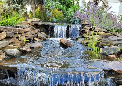 Pond Service & Maintenance—Holly Days Ponds & Aquatics