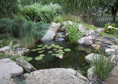 Pond Service & Maintenance—Holly Days Ponds & Aquatics