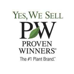 proven-winners-plants-holly-days-nursery-landscaping-distributor-horsham-ambler-pa