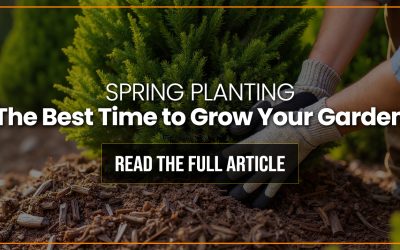 Spring Planting: The Best Time to Grow Your Garden