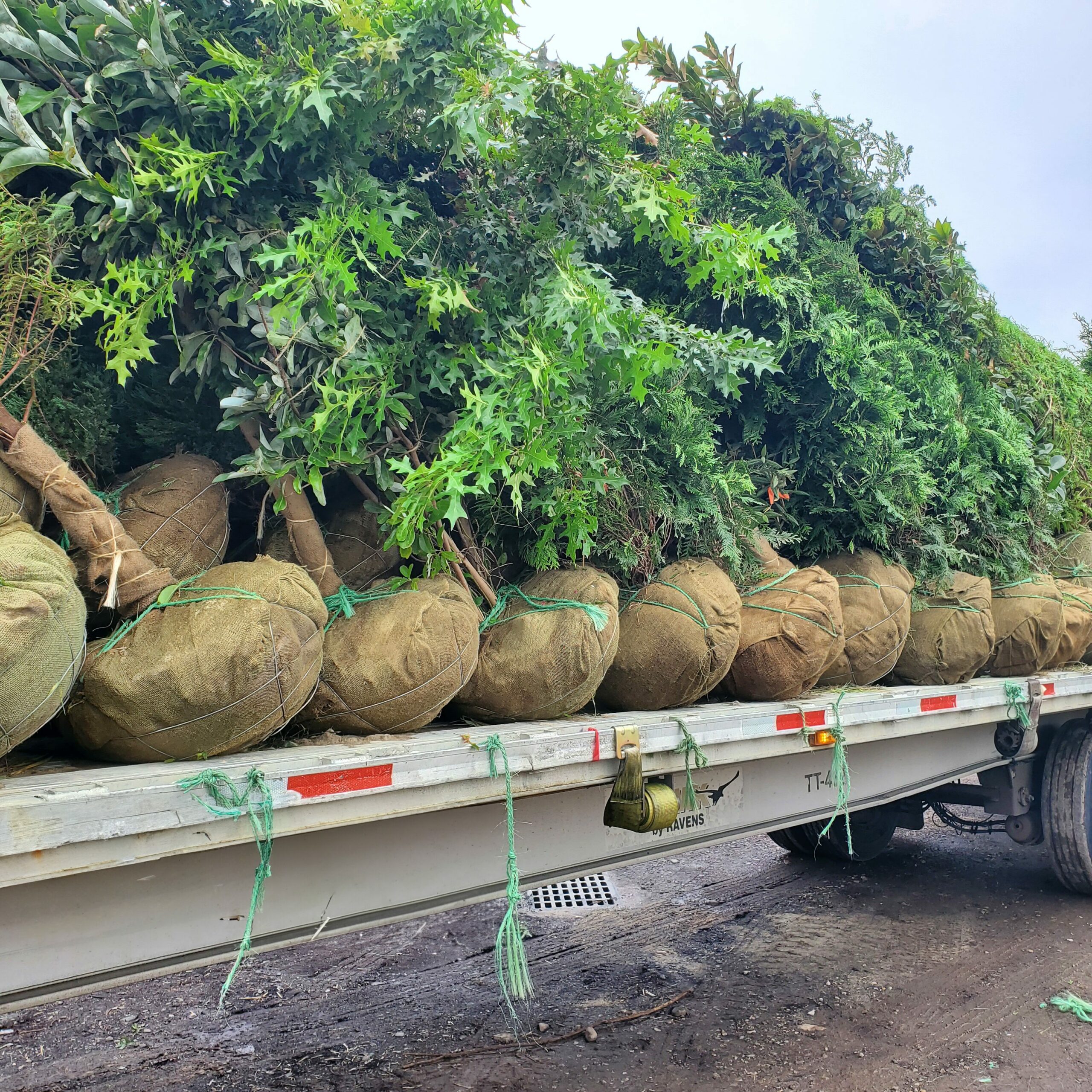 wholesale-photos-website