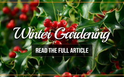 Winter Gardening